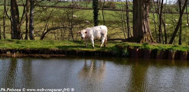 Écluse n°16 du Canal-du-Nivernais