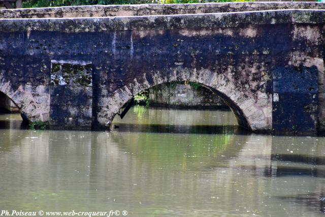 Ponts de Chartres webcroqueur