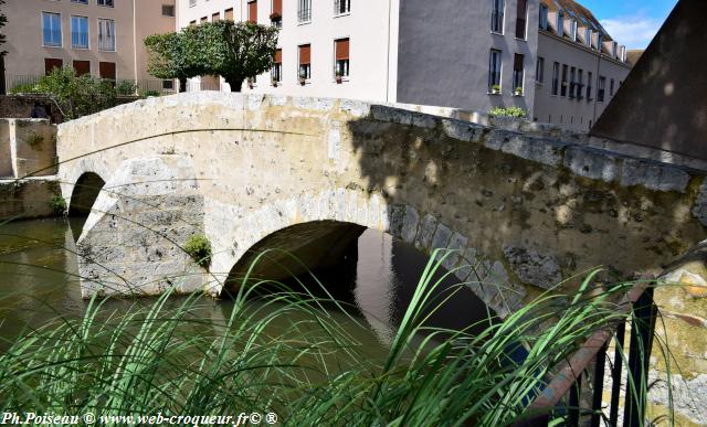 Ponts de Chartres webcroqueur