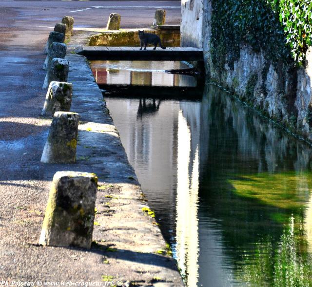 Rue des Fontaines de Dornecy un beau patrimoine