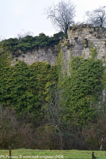 Château de Rosemont Nièvre Passion