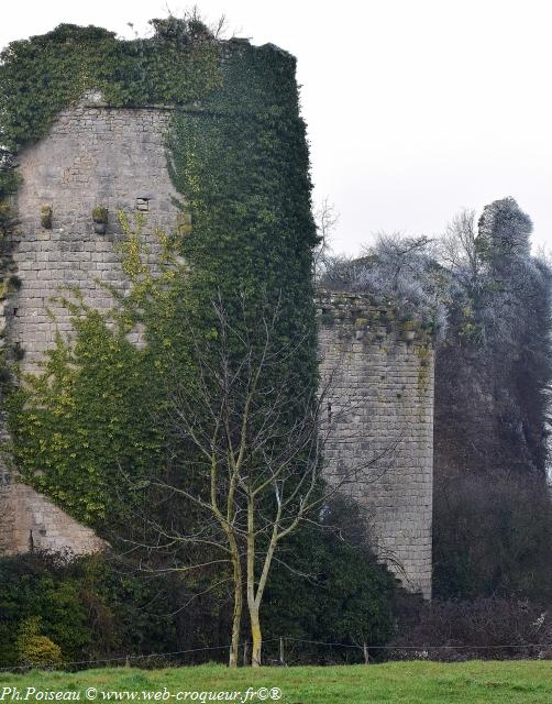 Château de Rosemont 