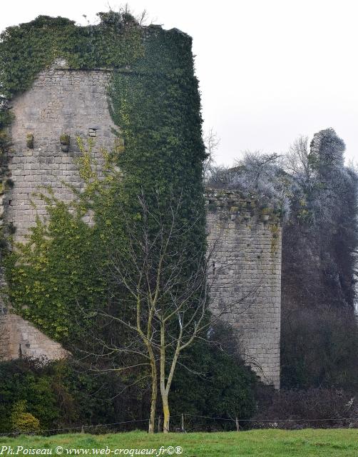 Château de Rosemont Nièvre Passion