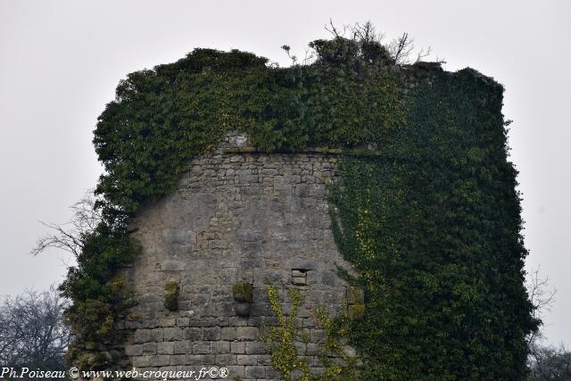 Château de Rosemont Nièvre Passion