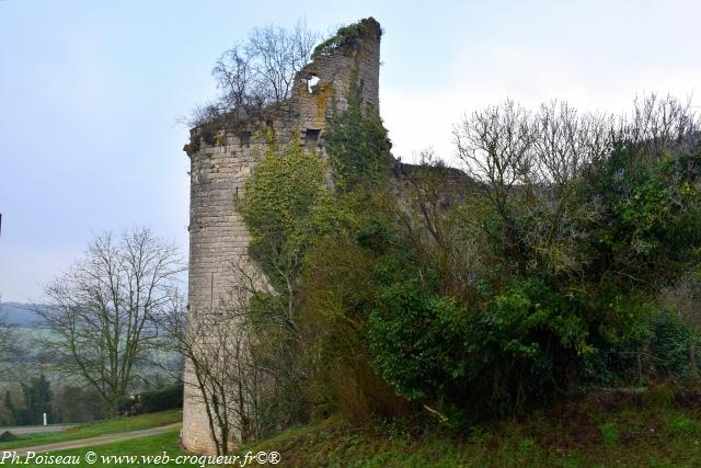 Château de Rosemont Nièvre Passion