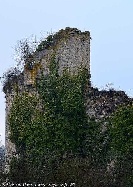 Château de Rosemont Nièvre Passion