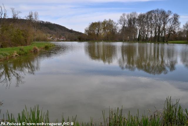 Étang de Courcelles un patrimoine