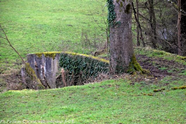 Pont sur la Nièvre-d'Arzembouy Nièvre Passion