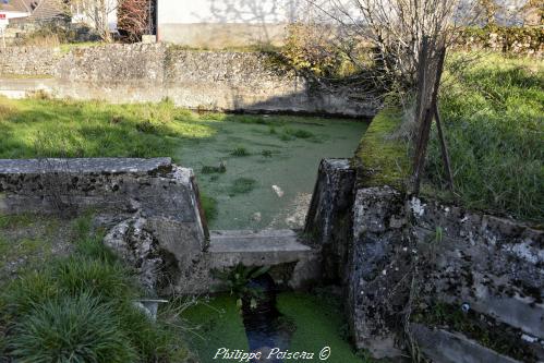 Abreuvoir de Charlay
