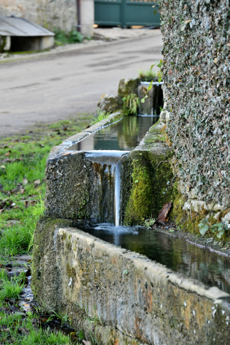 Abreuvoir de Marcy