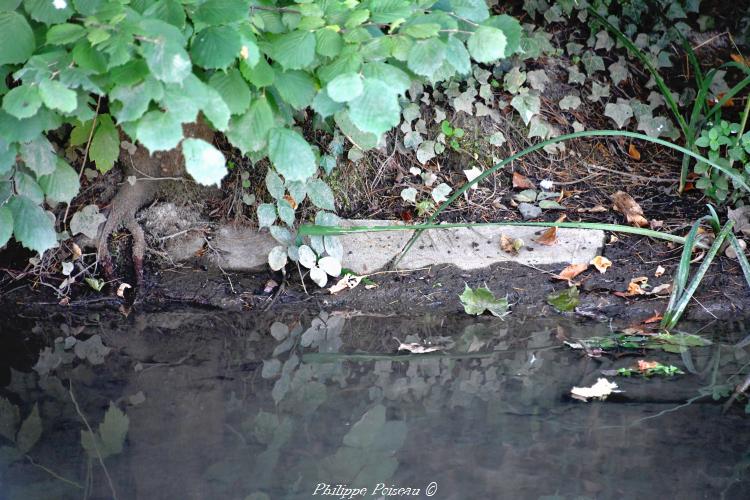 Ancien lavoir privé