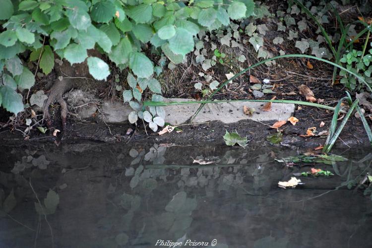 Ancien lavoir privé