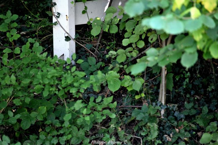 Ancien lavoir privé