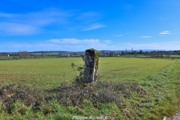 Une Borne d&rsquo;Amazy un beau patrimoine