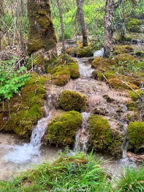 Le ruisseau du sentier de Chaumour