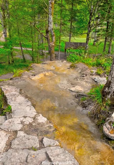 Le ruisseau du sentier de Chaumour