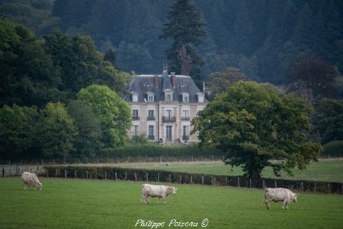 Château de Chaligny