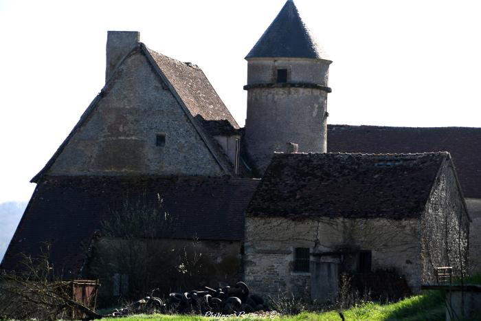 Château de Chouix