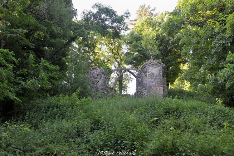 Château de Montenoison un remarquable site