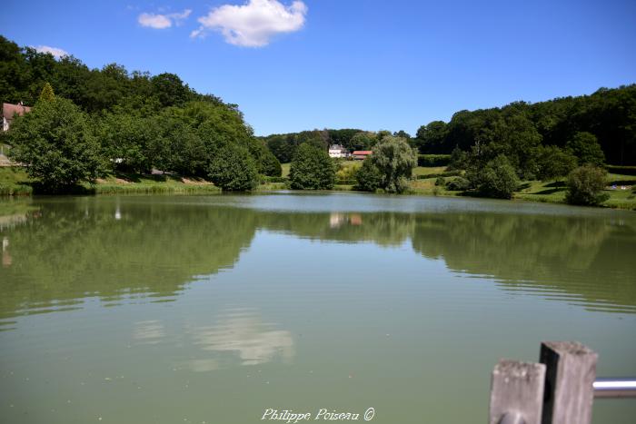 Sauvigny les Bois