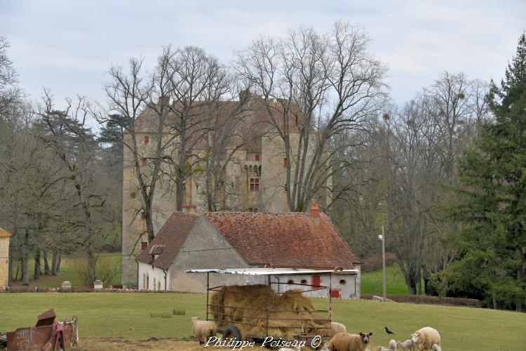 Château de Chevenon