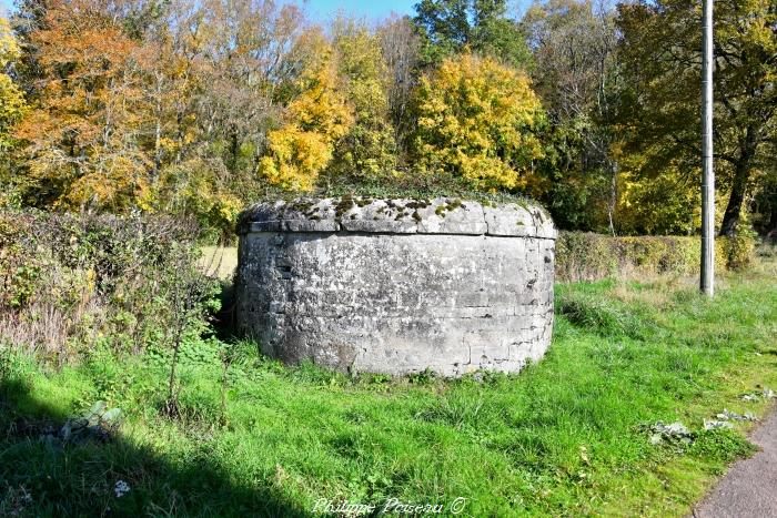 Cheminées des voutes de la Collancelle