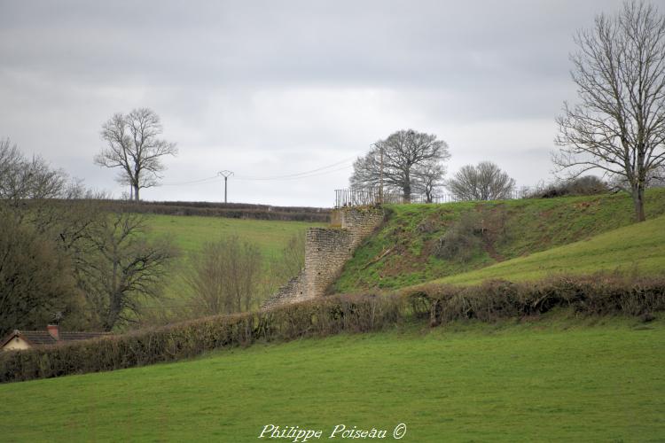 Mines de Chaumot et de Chitry les Mines