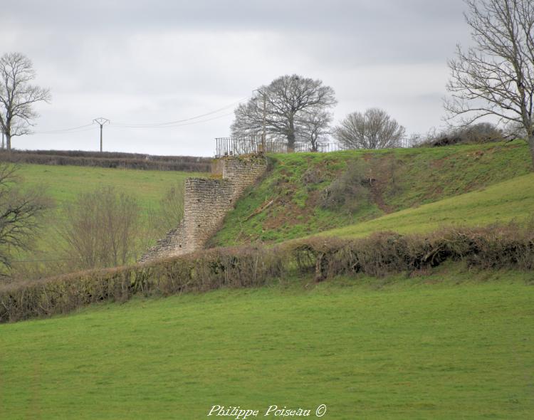 Mines de Chaumot et de Chitry les Mines