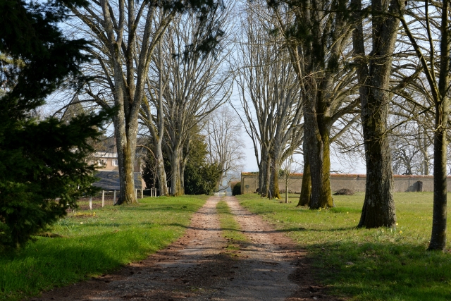 Château au lieu dit Vaux Vivier