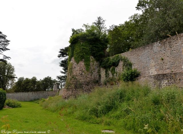 Château fort de Larochemillay