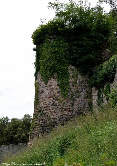 Château fort de Larochemillay