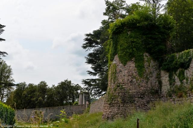 Château fort de Larochemillay