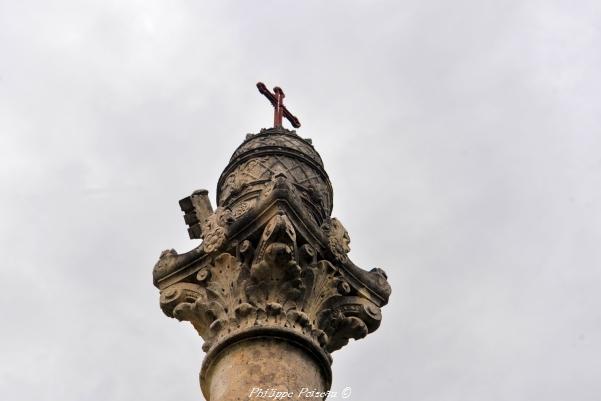 Croix du Pape à Tronsanges - Le pape Pie VII