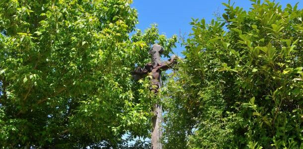 Crucifix de Montigny sur Canne