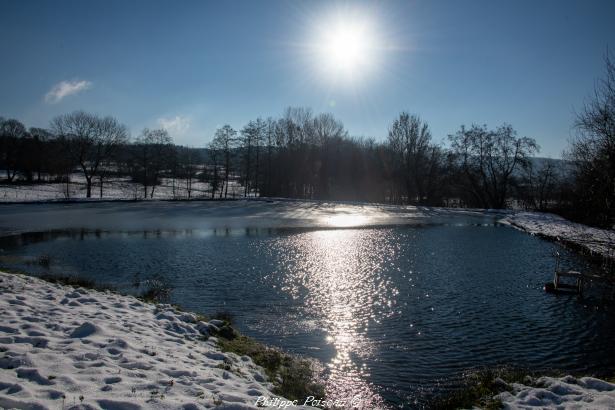 Étang d’ Arleuf un beau plan d’eau communal