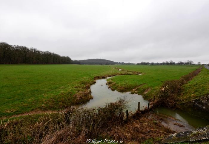 Le plessage du Nivernais