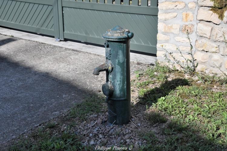 Borne incendie fontaine de Pignol 