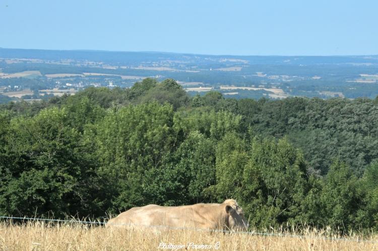 Le Panorama de La Justice