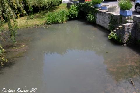 Pont de Narcy Nièvre Passion