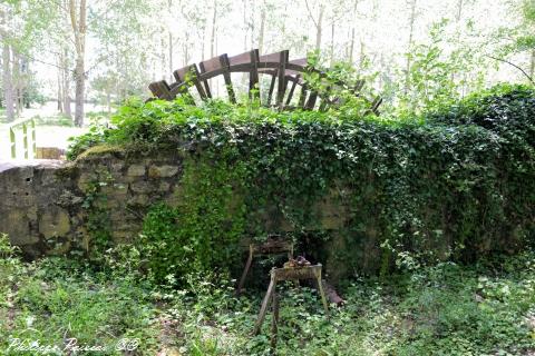 Moulin Foulon de Narcy Nièvre Passion