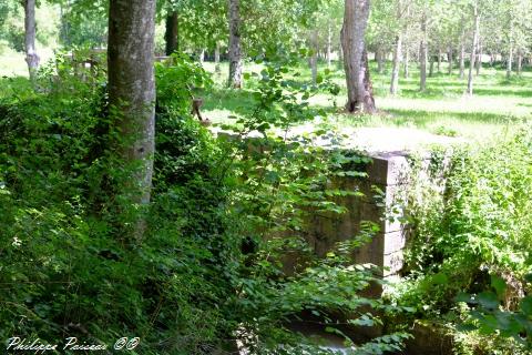 Moulin Foulon de Narcy Nièvre Passion