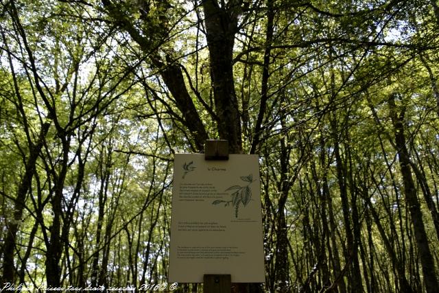 Sentier du Héron Cendré