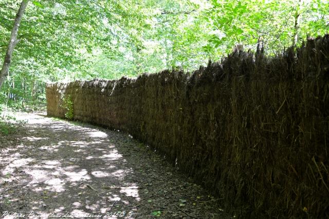 Sentier du Héron Cendré