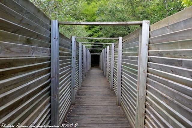 Sentier du Héron Cendré