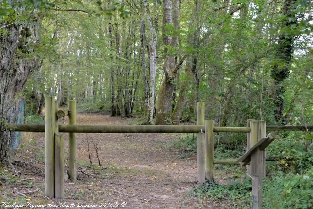 Sentier du Héron Cendré