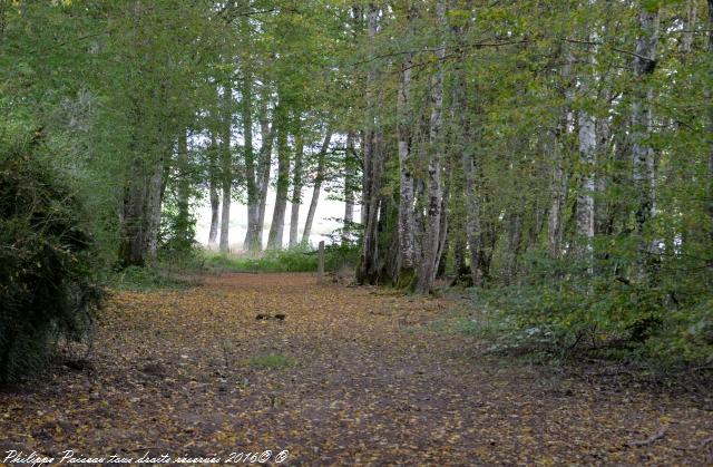 Sentier du Héron Cendré