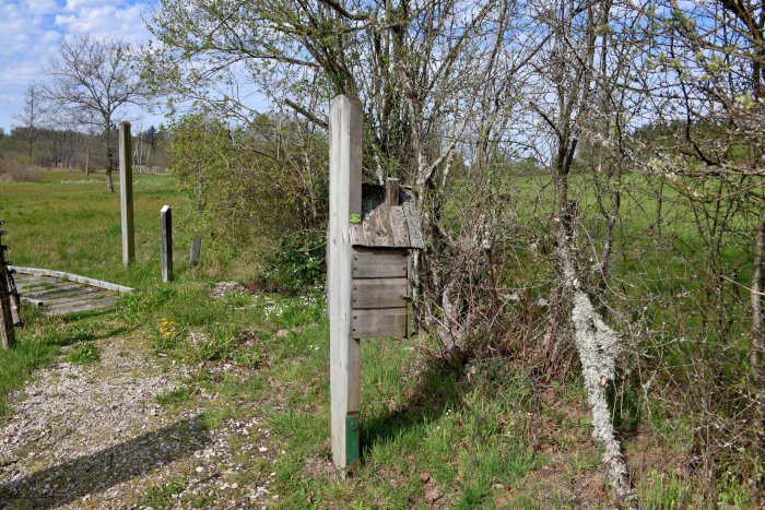 La Tourbière du Morvan