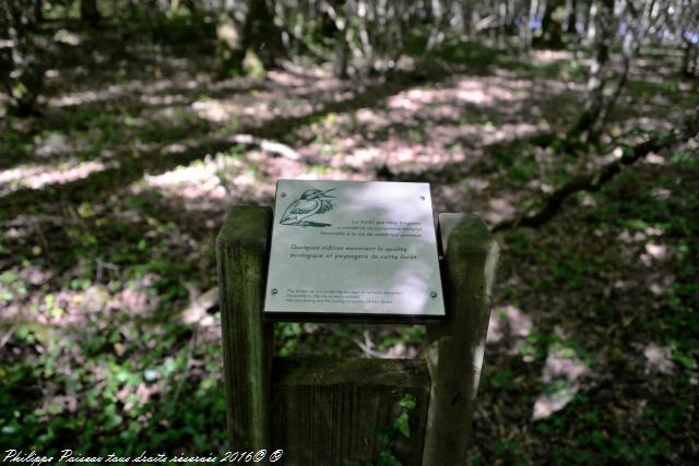 Étangs de Baye et Vaux sentier martin pêcheur