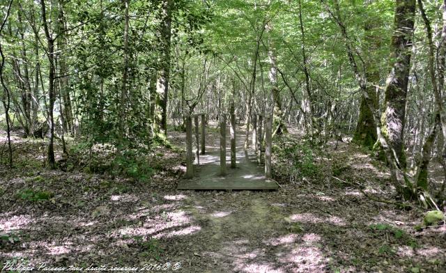 Étangs de Baye et Vaux sentier martin pêcheur