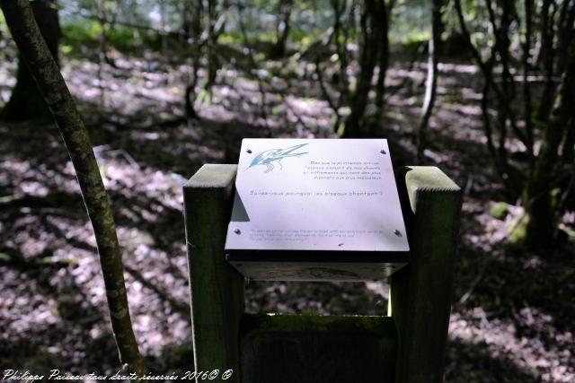 Étangs de Baye et Vaux sentier martin pêcheur